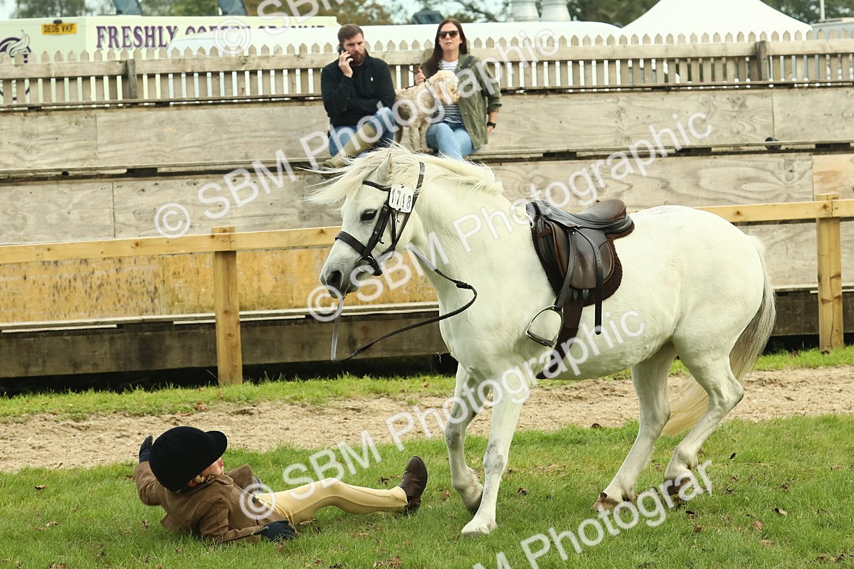 SBM_69935 - S59 - Mountain & Moorland Ridden Small Breeds