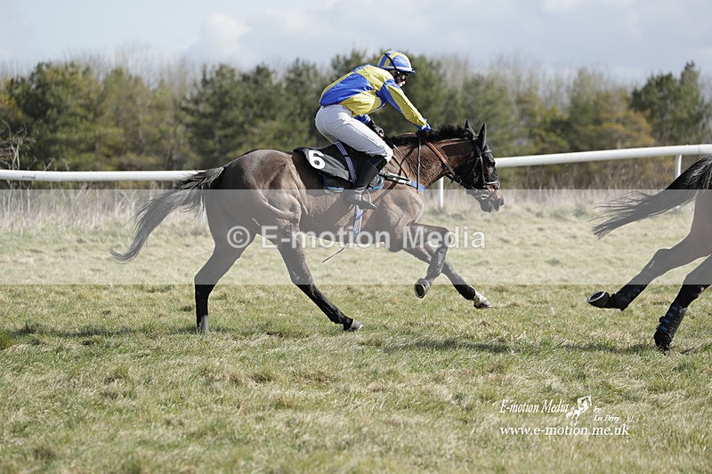 PtP 260223 324 - South & West Wilts Point-to-Point Larkhill 26/02/23