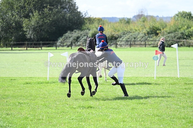 WJ7_8523 - 60cm Pairs