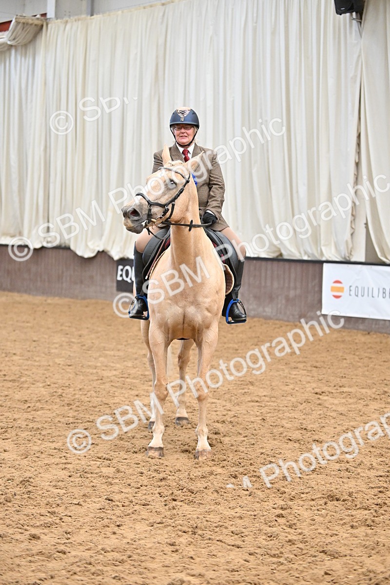 SBM_001492 - Class 19,20 - Ridden Native, Foreign Breeds & Warmbloods