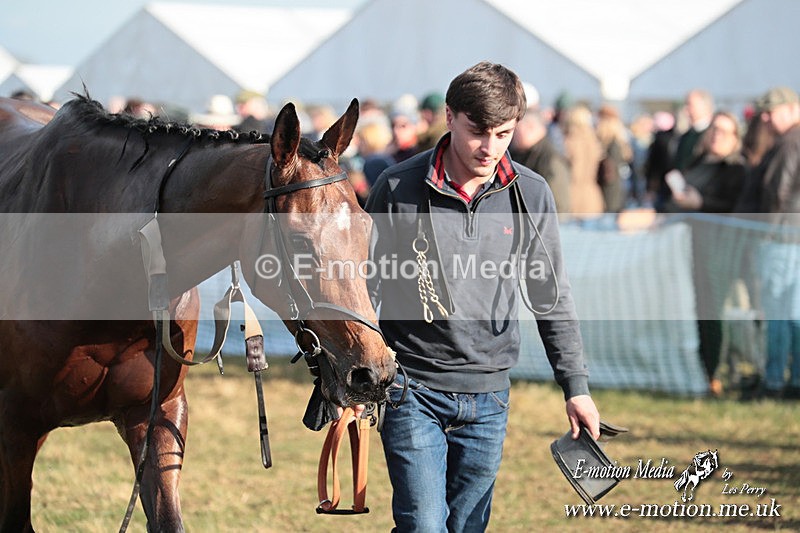PtP 010325 355 - Beaufort Races Didmarton 01/03/25
