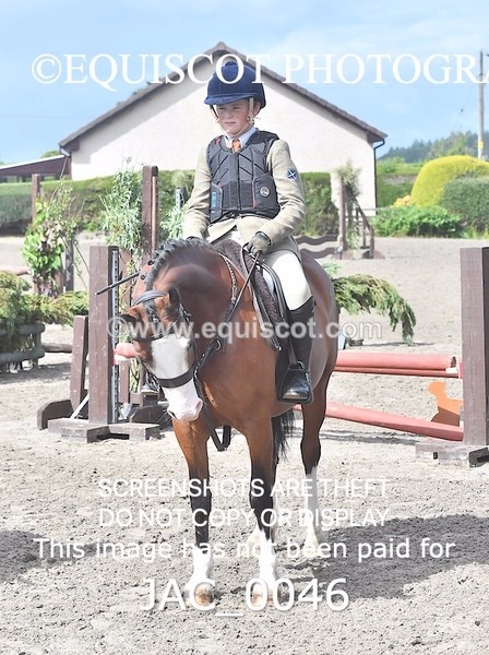 JAC_0046 - CLASS 3 Intermediate Working Hunter (0.70m - 0.85m)