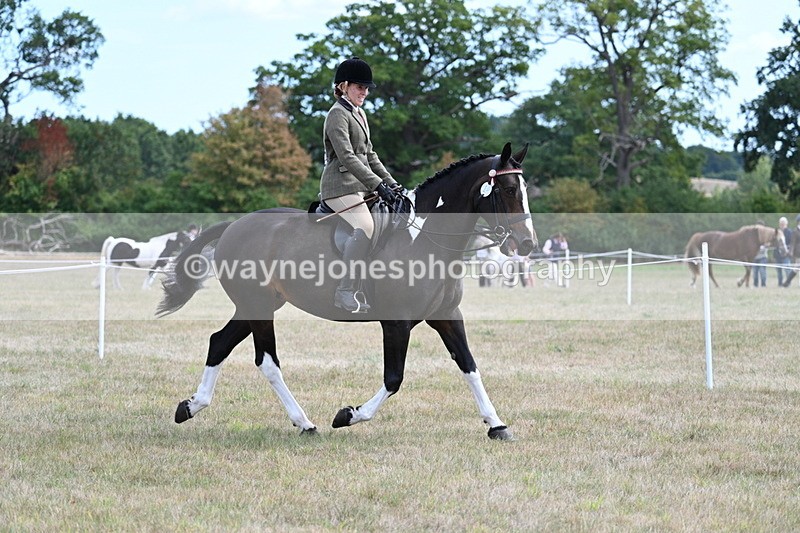 WJ7_5930 - Class 13 Ridden Veterans