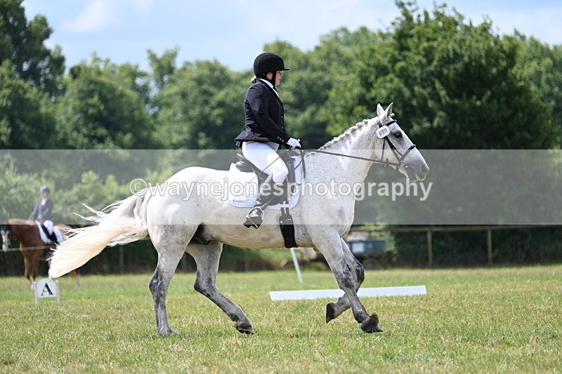 WJ7_4942 - Time 11:22 to 11:51