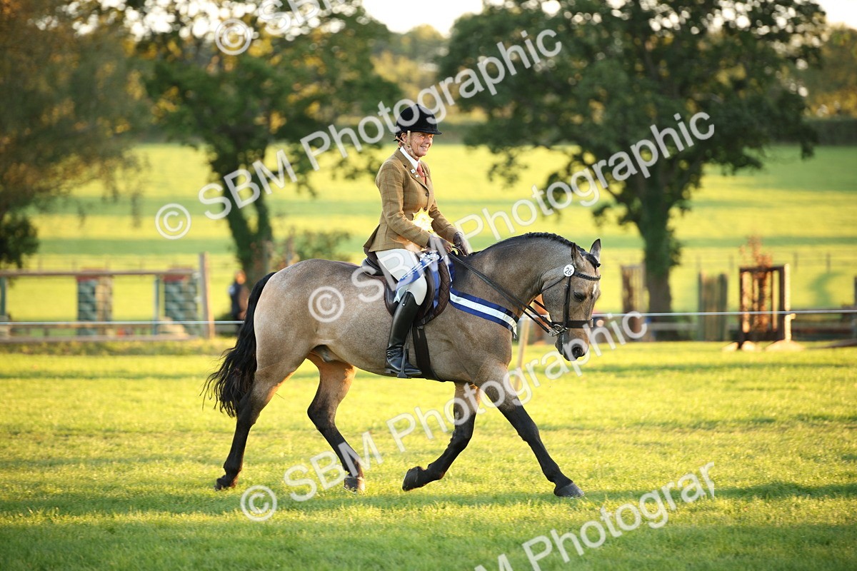 SBM_57078 - Veteran Supreme Championship