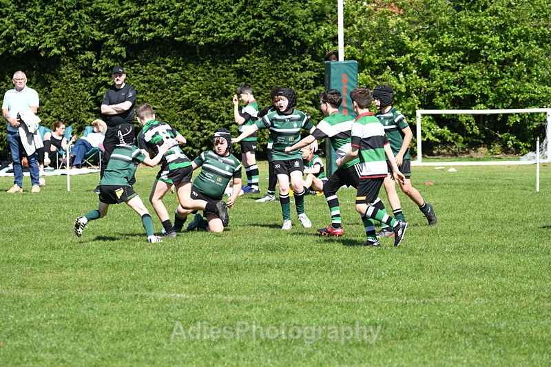  - Selby Rugby Festival 2025