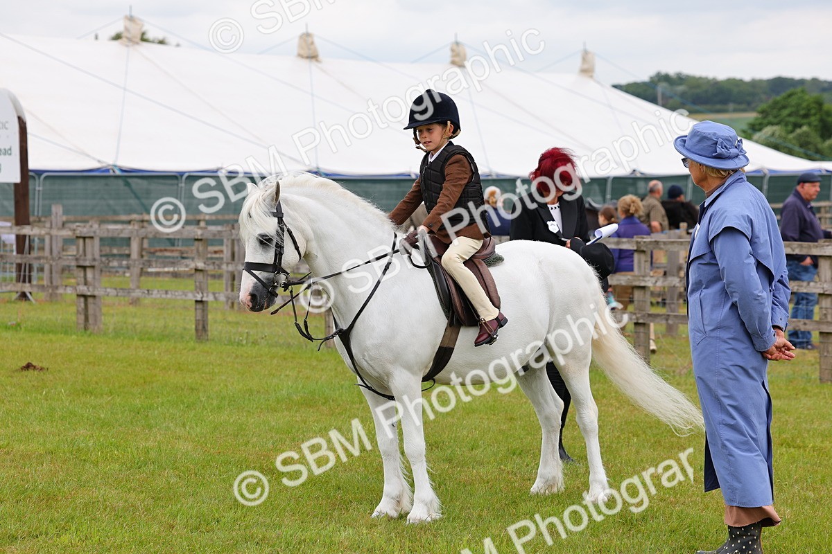 SBM_08681 - Class 42-43 - LIHS BSPS Heritage Working Sports Pony