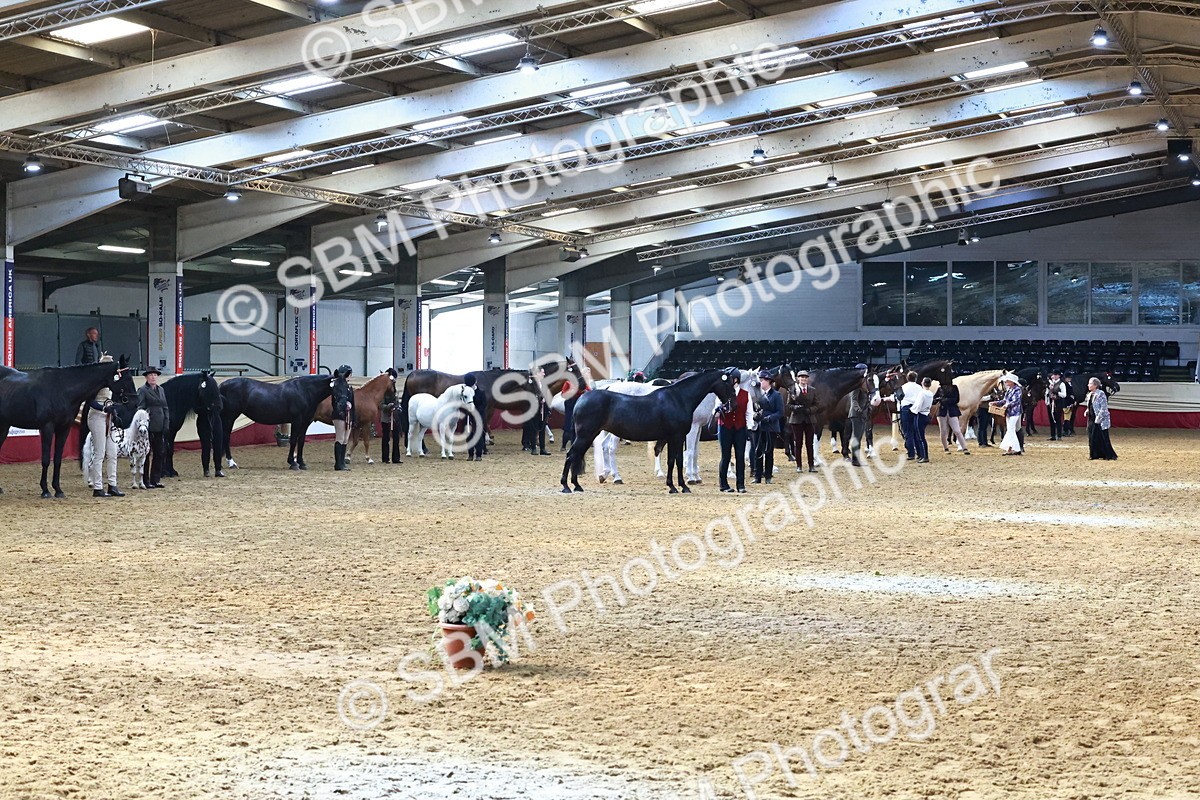 SBM_22402 - Class 902 - Supreme Final - IH Diamond