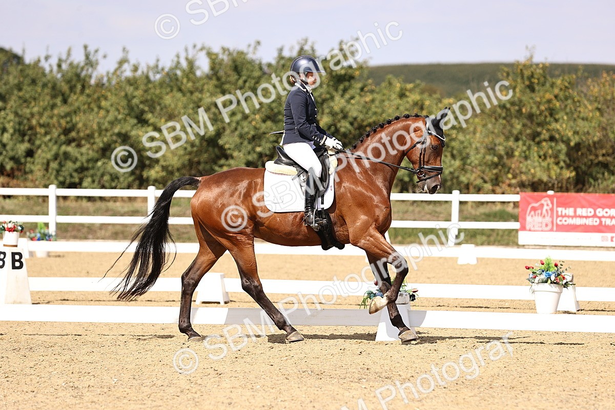 SBM_015065 - Class 6 - Elementary 5