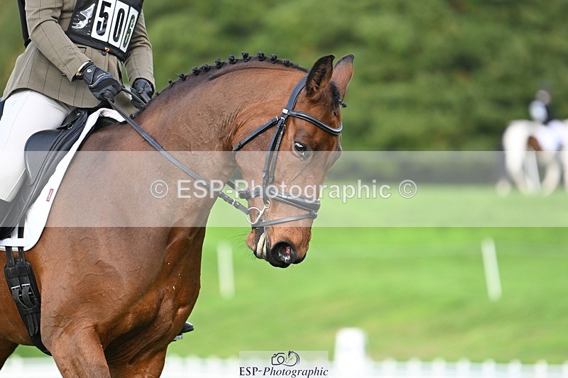 251023A-102855-02499 - G-506-Felicity.Egan