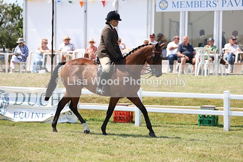3E7A9292 - Class 12: Open Racehorse to Show Horse