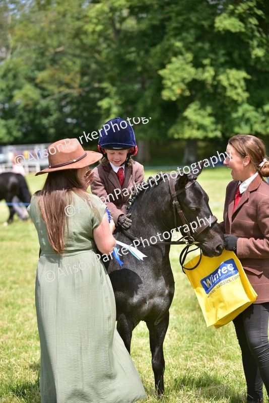 20260614-1402 - Class 11b - Lead Rein Pony (Plaited)