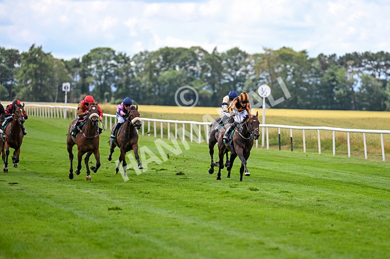 020725-Race 1-Dandy Style-1752 - Race 1