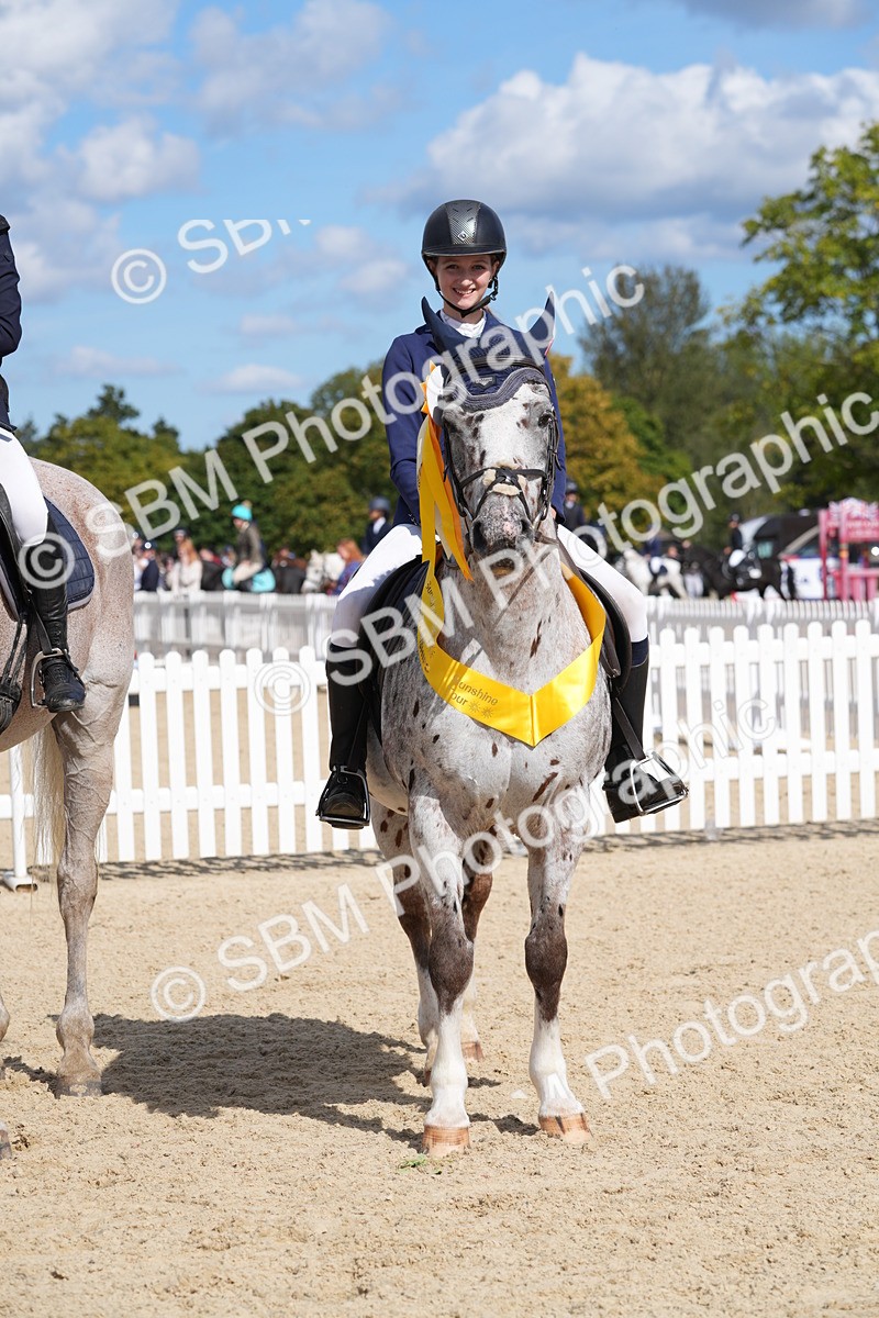 SBM_38903 - J21 - Junior Horse 60cm Championship