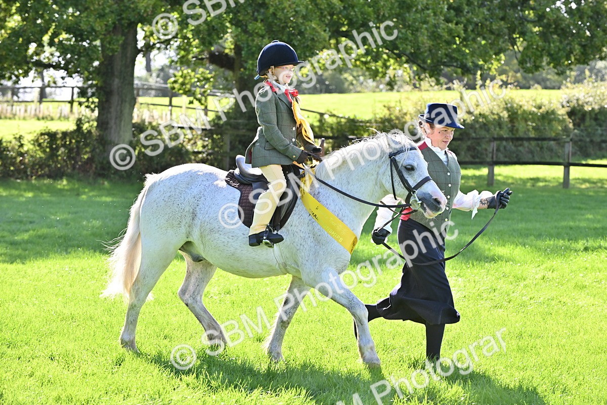 SBM_37478 - S18 - Novice & Newcomer Lead Rein Pony