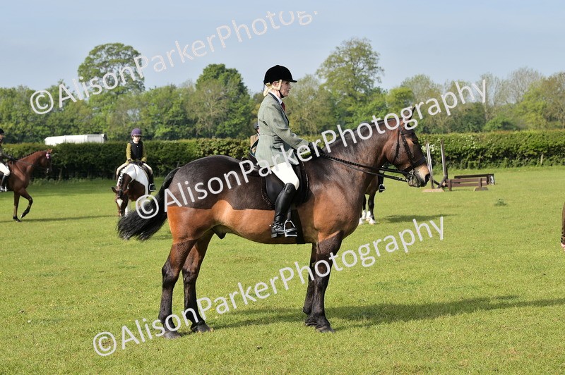 20260426-0920 - Class 18 - Novice Showing