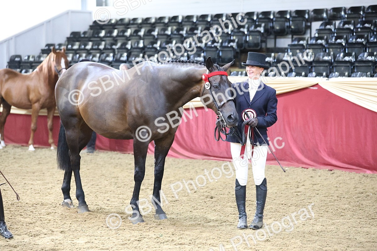 SBM_22558 - Class 902 - Supreme Final - IH Diamond