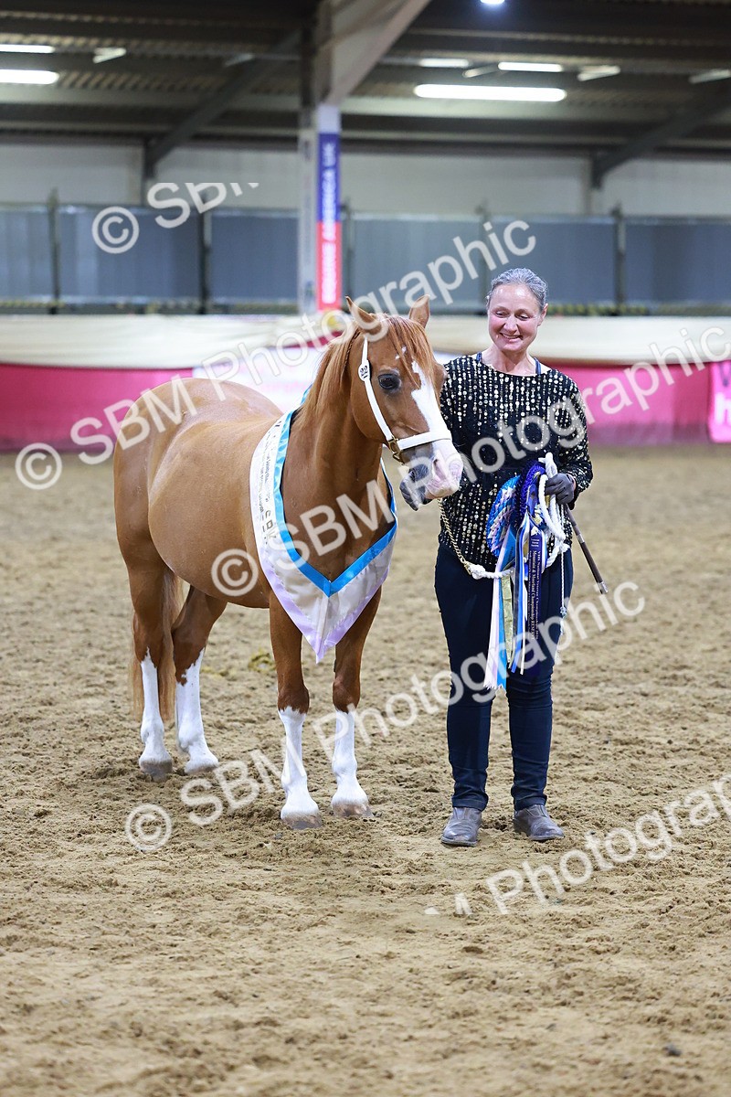 SBM_15292 - Class P - M&M Champ