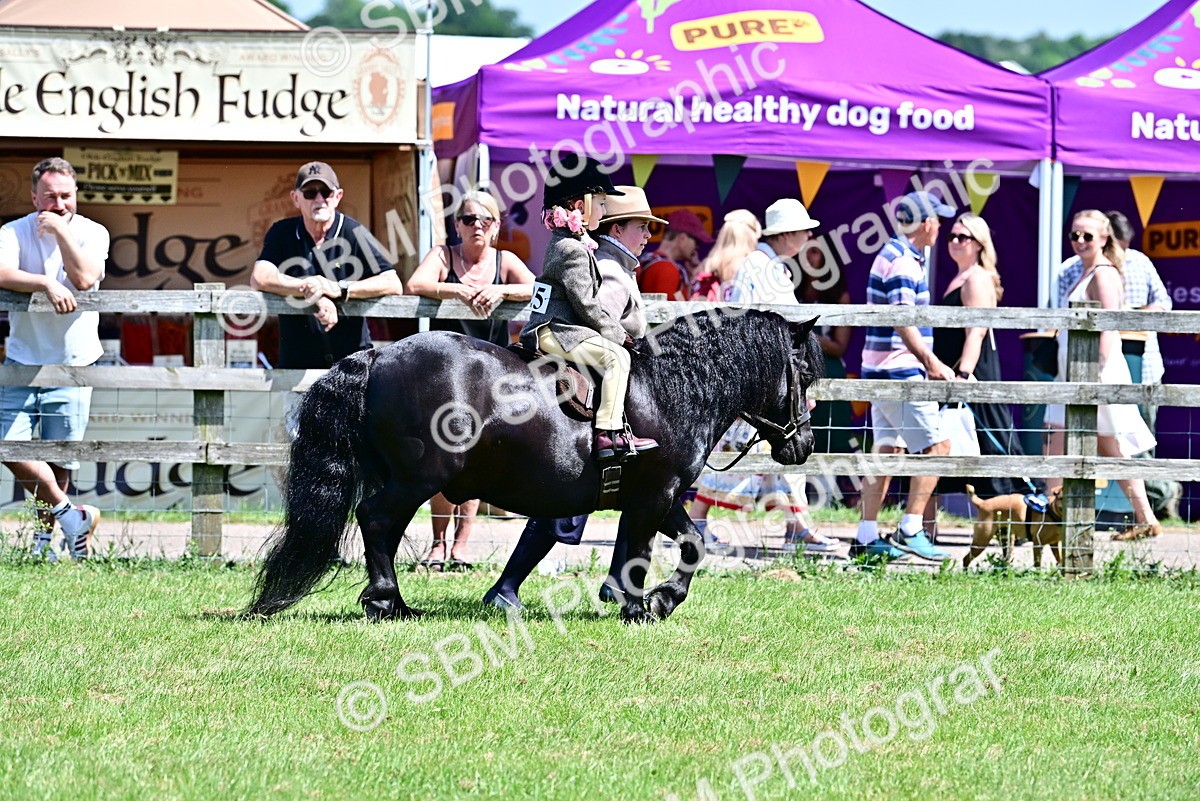 SBM_05761 - Class 59-60 - TSR M&M  Lear Rein and First Ridden Amateur of the year