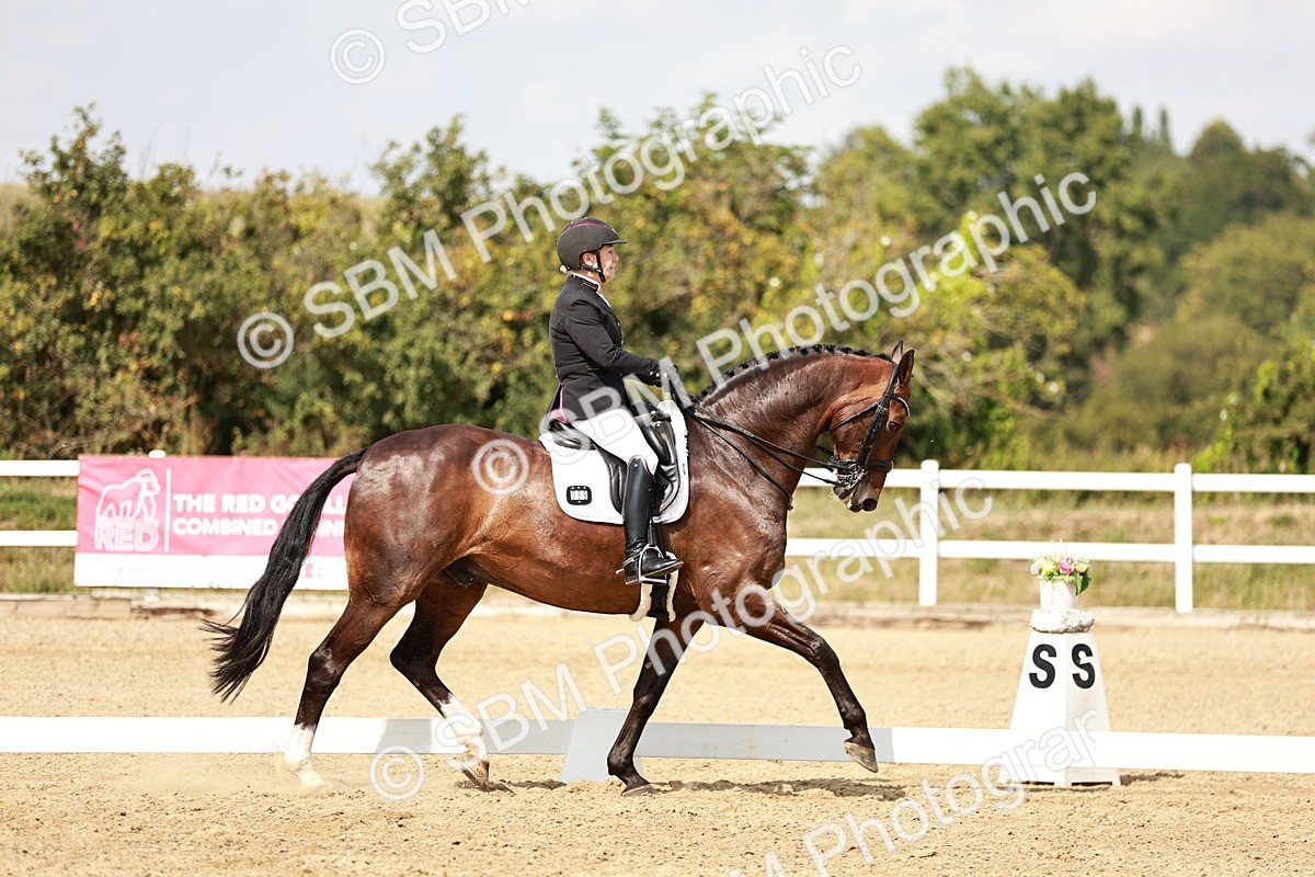SBM_004221 - Class 7 - Advanced Medium 6 Gold - 14.52-16.00