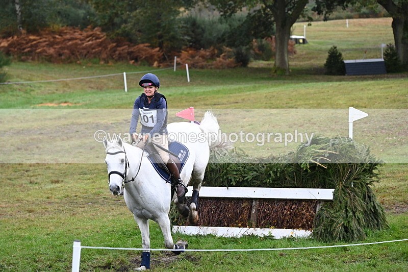 WJ6_1633 - 80cm Cam 1 Time 10:08 to 10:45