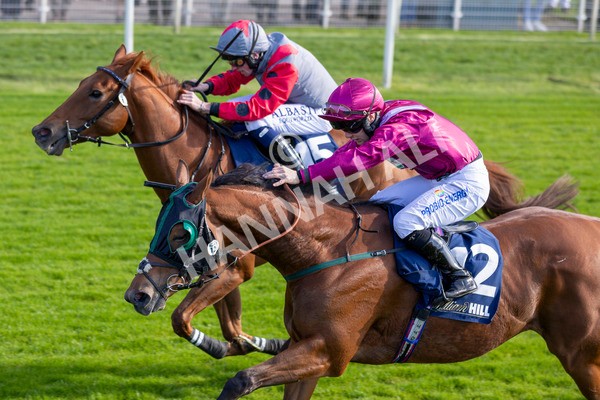 111024-Race 1-Empirestateofmind-6844 - Race 1 1.30pm William Hill Top Price Guarantee Autumn Handicap