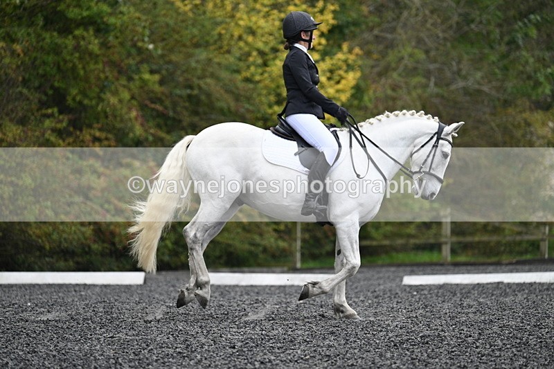 WJ7_4239 - Time 11:43 to 12:09