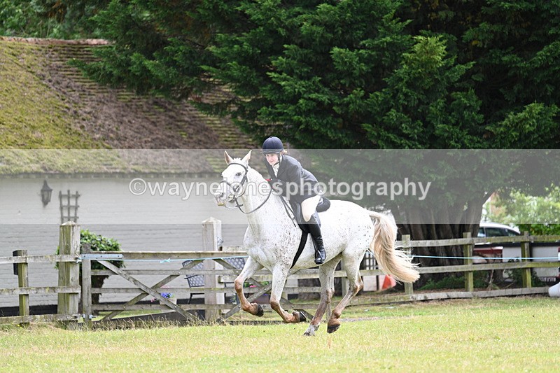 WJ7_8841 - Class 7  Riding Club Show Horse