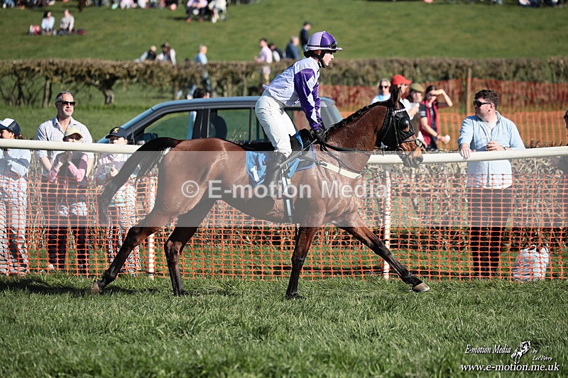 PtP 210326 640 - VWH Cirencester Races 21/03/26