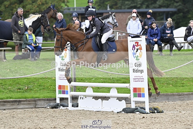 251005A-130139-04006 - Cls 08 Mini 70-75cm