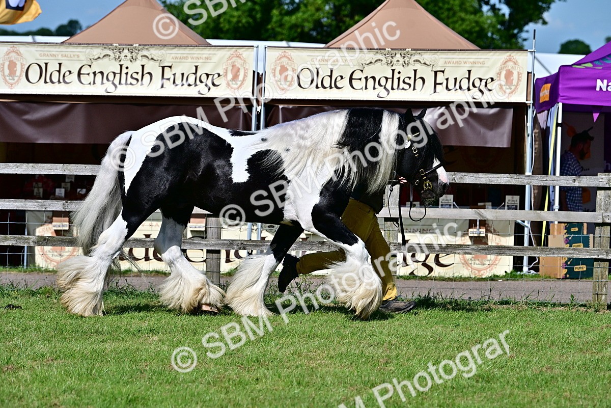 SBM_09465