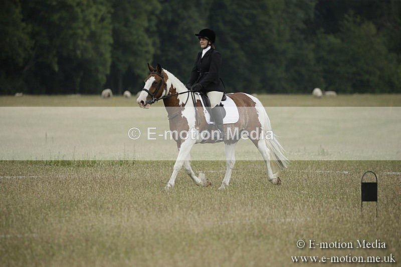 B230619-0211 - Bourne Valley Riding Club Summer Show 23/06/19
