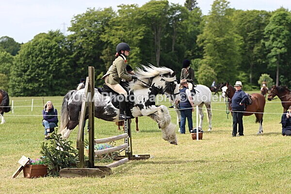 IMG_3148 - Working Hunter
