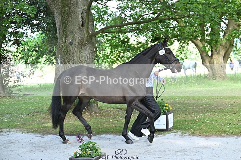 250521A-153221-00580 - B-316-Jasmine.Holmes-ARENT.I.LUCKY