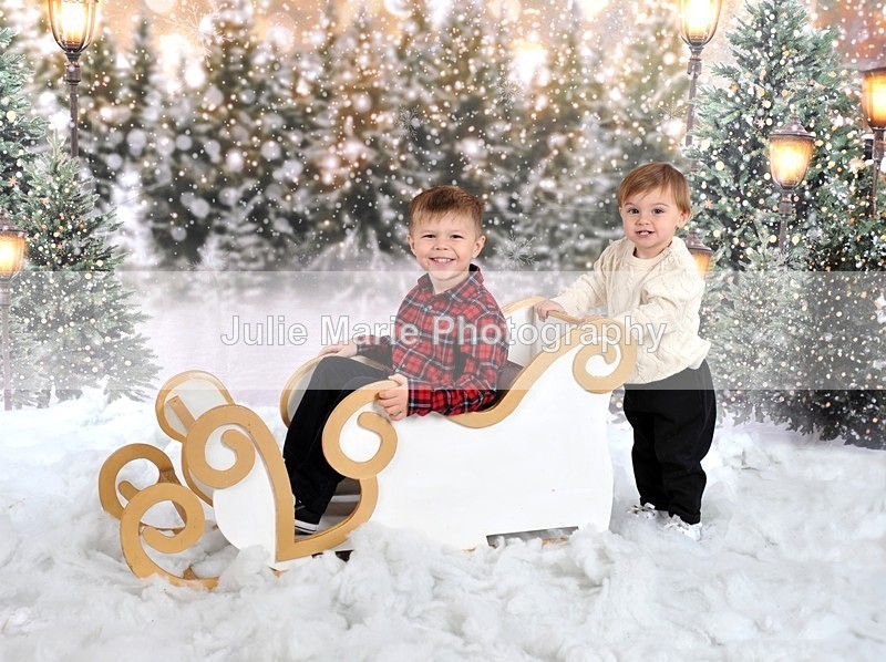 DSC_7494 - shannon ram