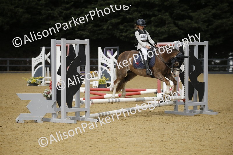 20250622-3624 - 50cm