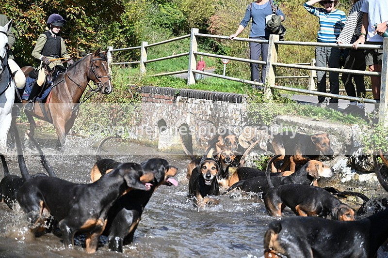 WJ7_5985 - Hounds Water Crossing
