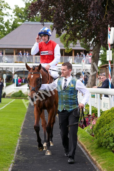 yr10062022r2-37 - Race 2 2.30pm SKF Rous Selling Stakes