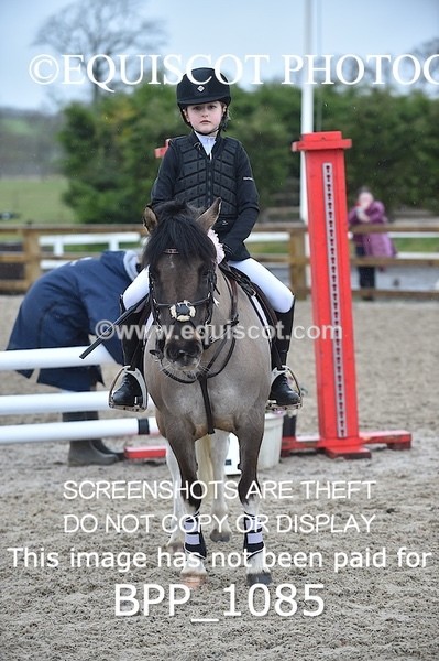 BPP_1085 - CLASS 1 Club/ Unaffiliated 60cms Open