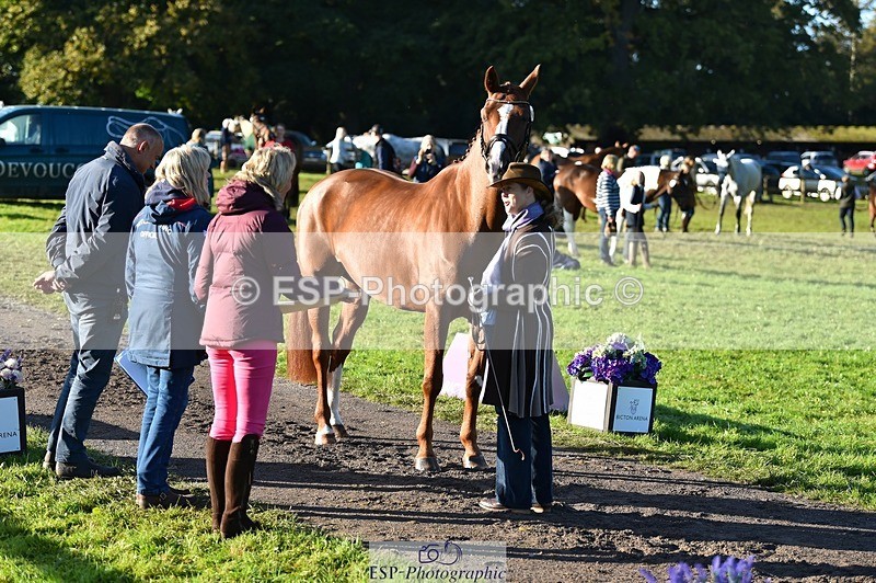 231022-095146-22077 - 484-JESATRAN.FIRECRACKER-Sally.Morton-TrotUp+SJ