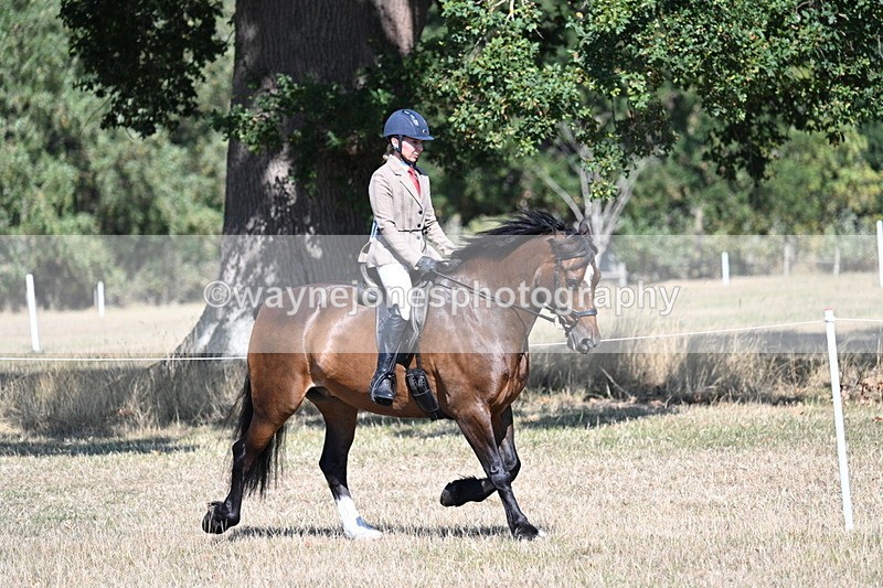 WJ7_3882 - Class 9 Mountain & Moorland Ridden