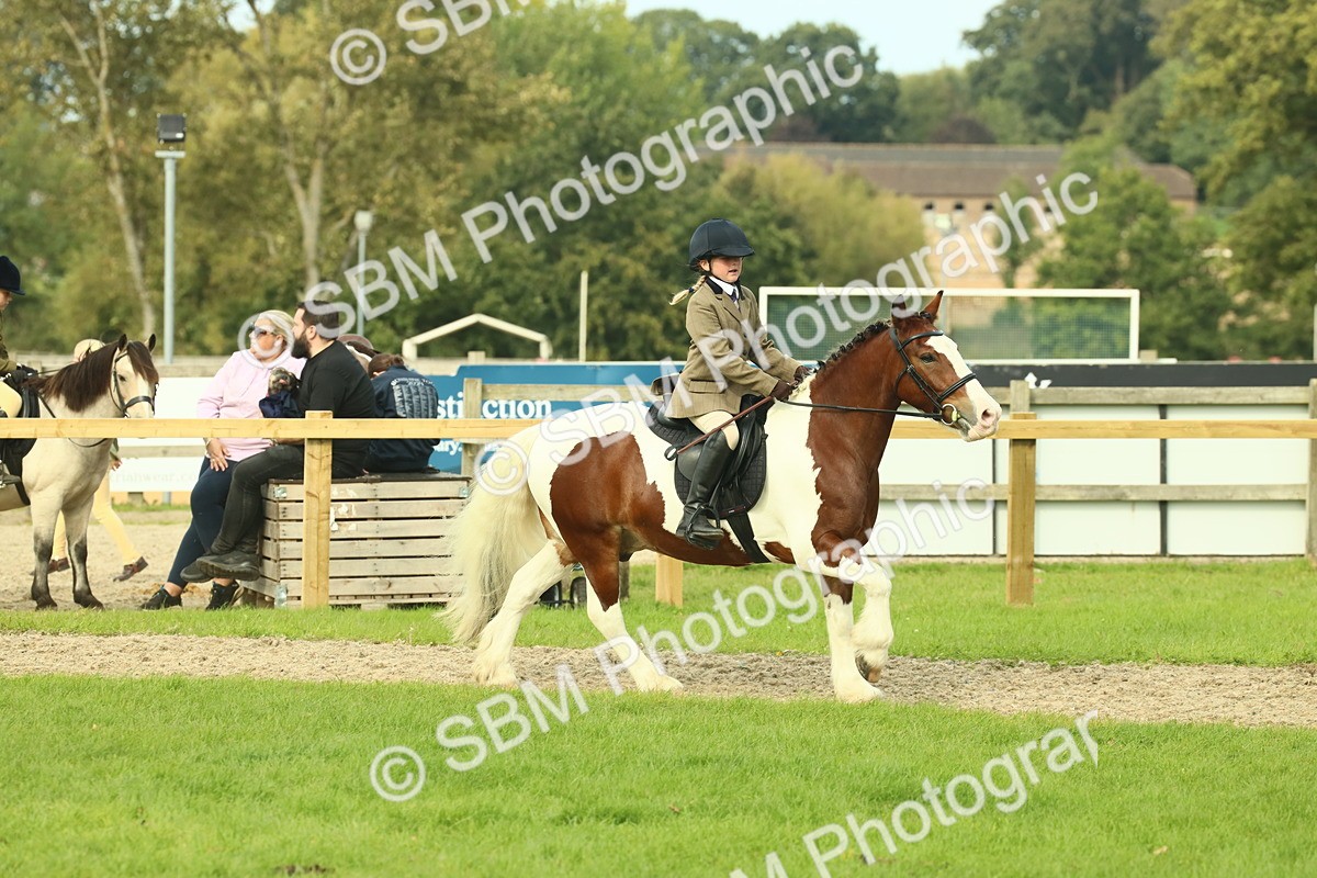 SBM_68235 - S58 - Mini Show Cob Ridden