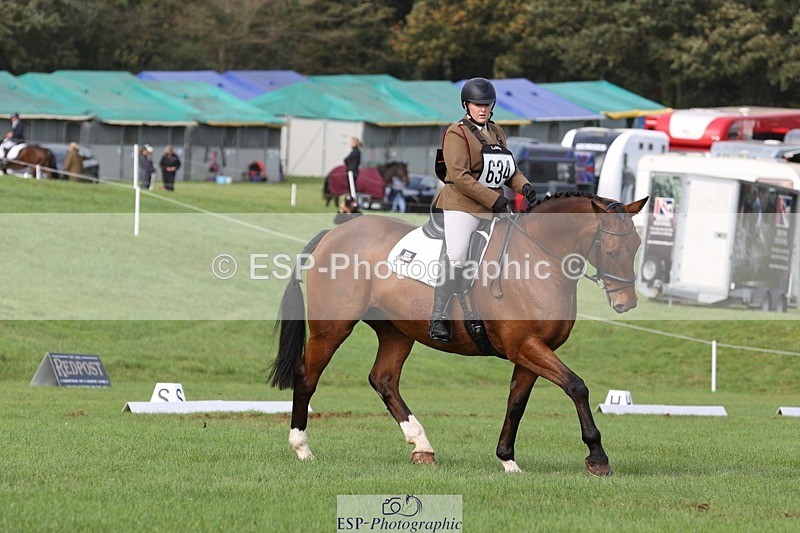 231019-142547-03976 - 634-PEMBROKE.MASTER.PIECE-Joanna.Dunn-DR