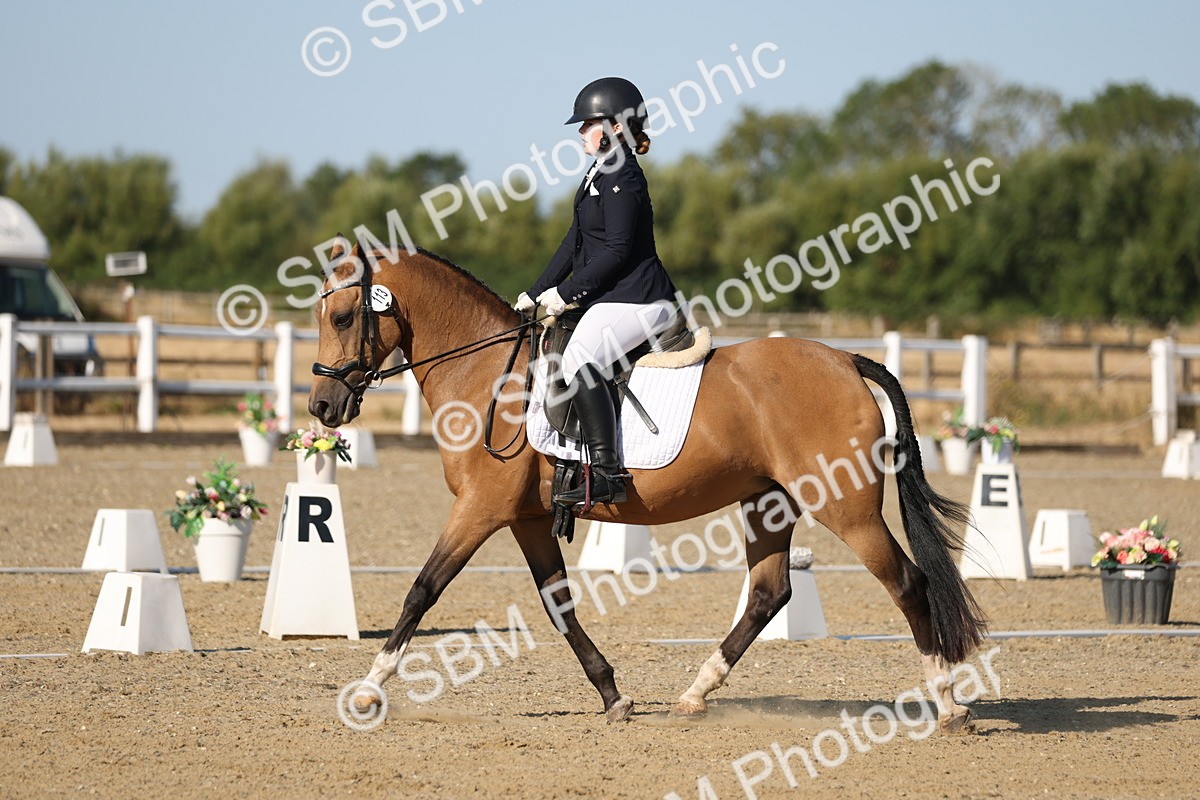 SBM_012617 - Class 1 - P5 Bronze 9.00.10.12