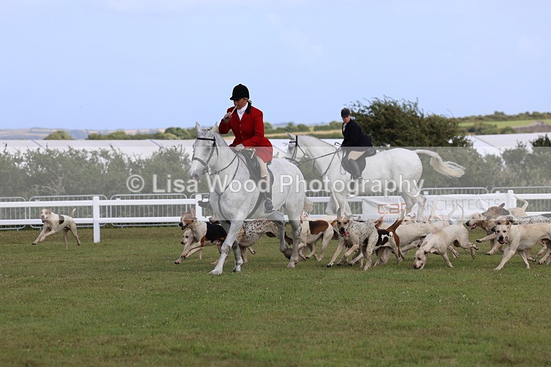 3E7A3442 - Parade of Hounds