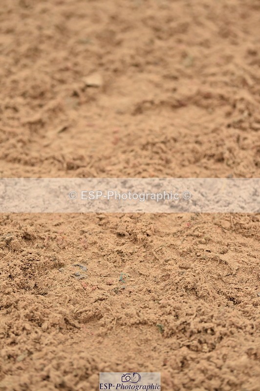 231122A-134032-00481 - Cls 5 Foxhunter & 1.20m Open