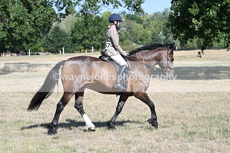 WJ7_3950 - Class 9 Mountain & Moorland Ridden