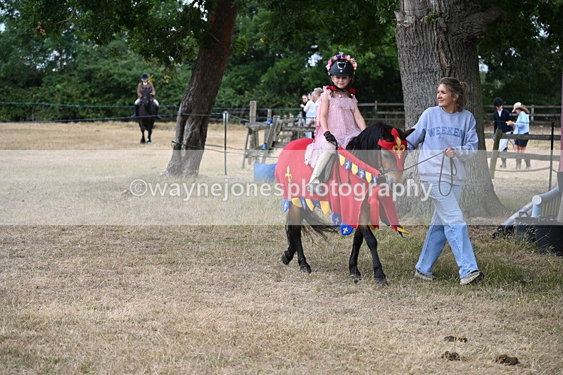 WJ6_8946 - Class 11 Fancy Dress