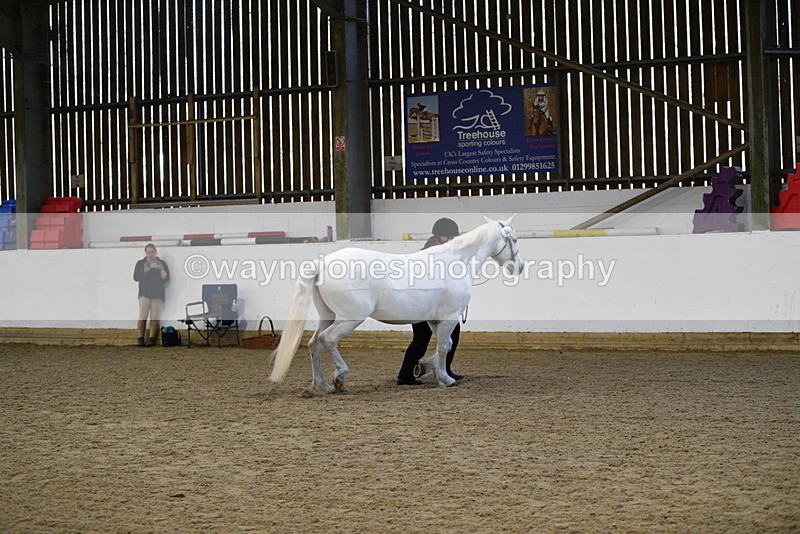 WJ5_3725 - Class 5 In Hand Veterans