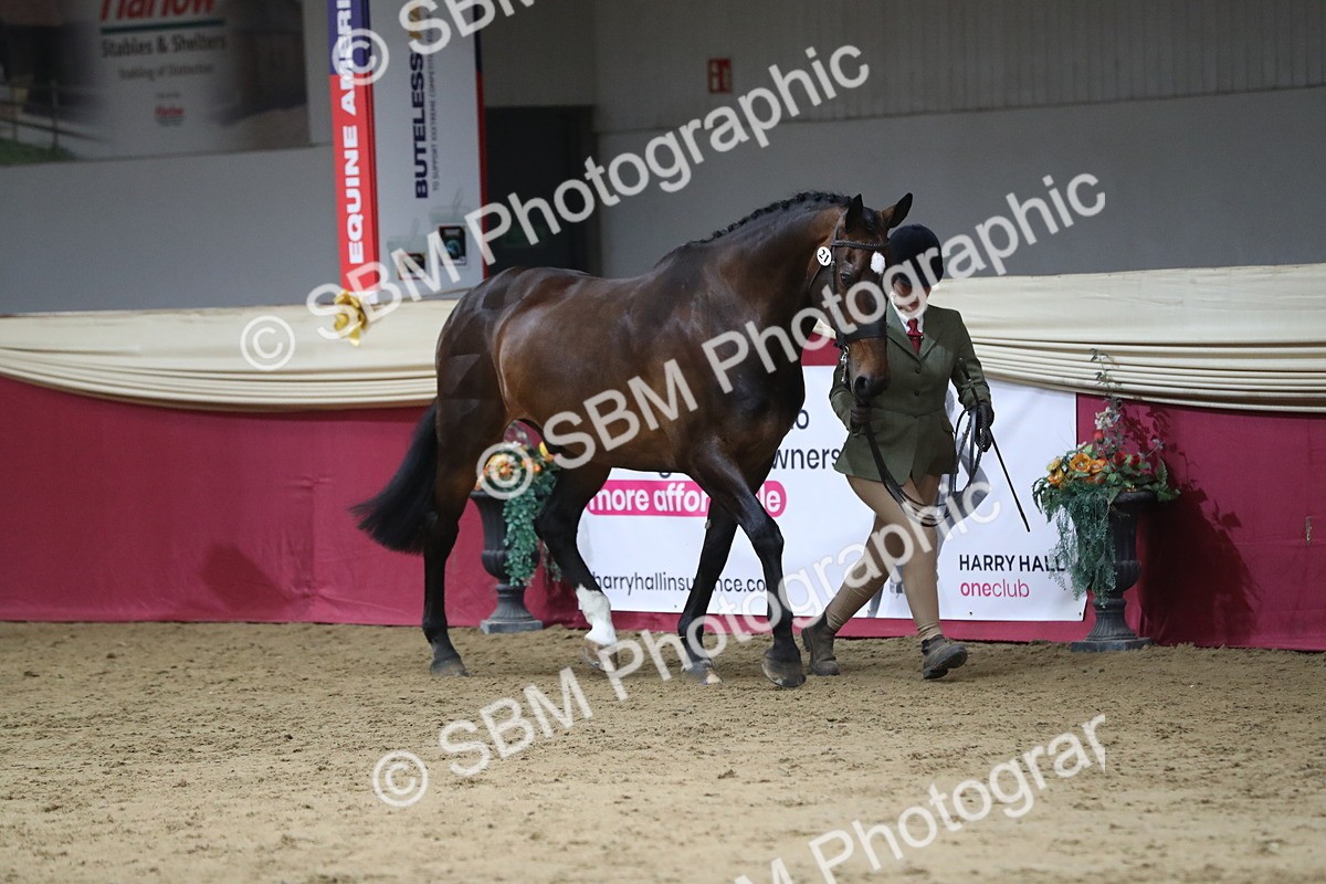 SBM_04995 - Class 8R- Regional -IH Veteran